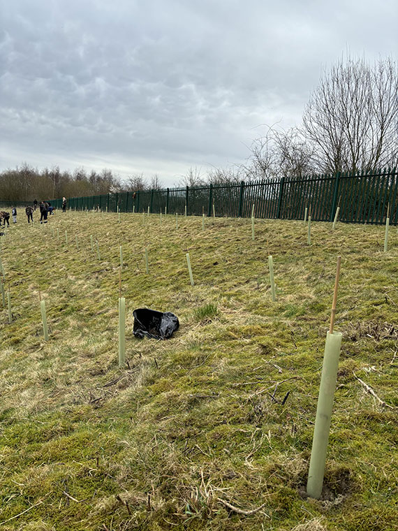 Planting trees at DVC