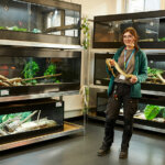 Someone stood holding a snake with other reptiles in the background