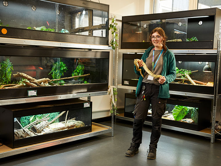 Someone stood holding a snake with other reptiles in the background