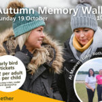 Autumn Memory Walk