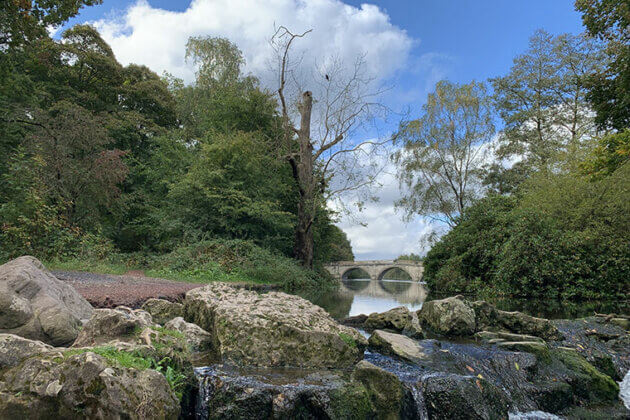 A scenic view of the bridge at Clumber Park