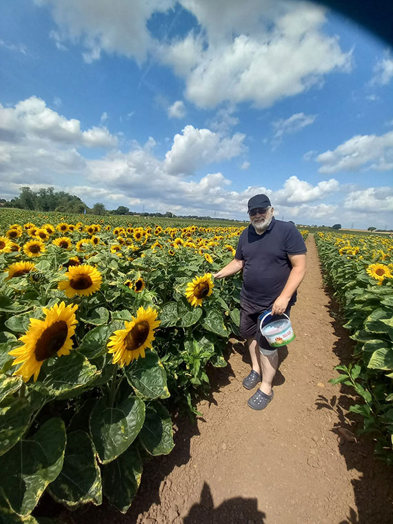 Stephen Whitehouse - Sunflower Picking