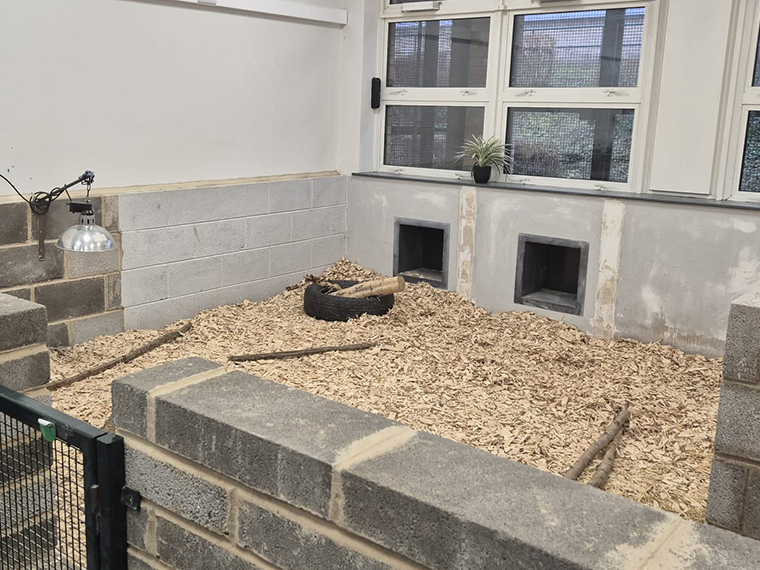 An animal enclosure inside with sawdust on the floor and grey breezeblocks built around it