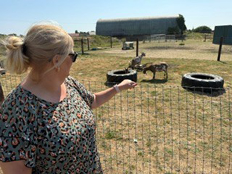 A female stood with her hand resting on top of a wire fence, looking out towards animals in a grass area